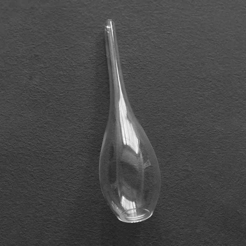 Clear Glass Vase for Flowers, Hydroponic Plants & Home Decor