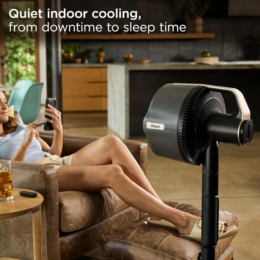 Portable Misting Fan