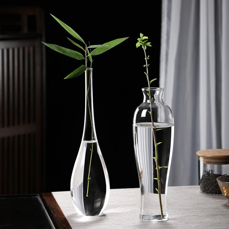 Clear Glass Vase for Flowers, Hydroponic Plants & Home Decor