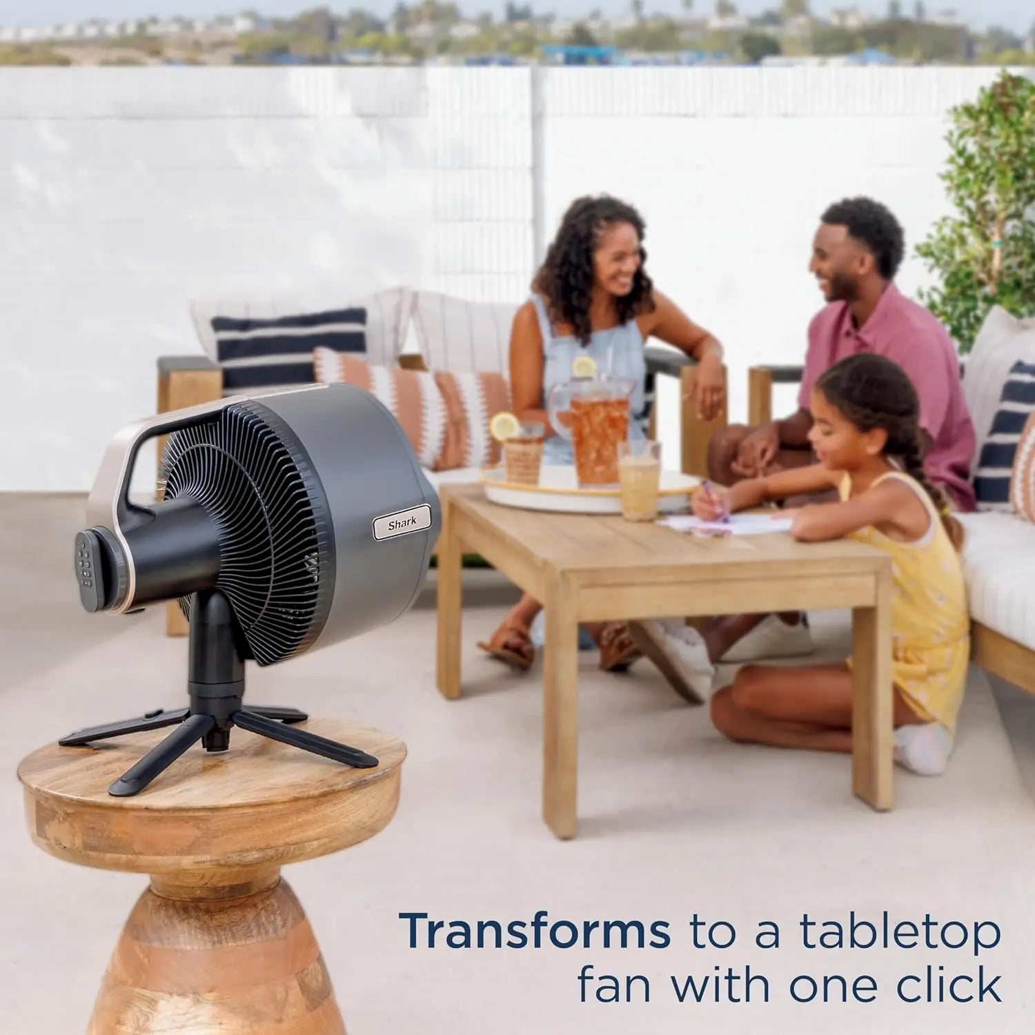 Portable Misting Fan