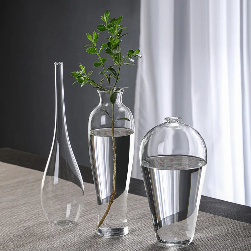 Clear Glass Vase for Flowers, Hydroponic Plants & Home Decor