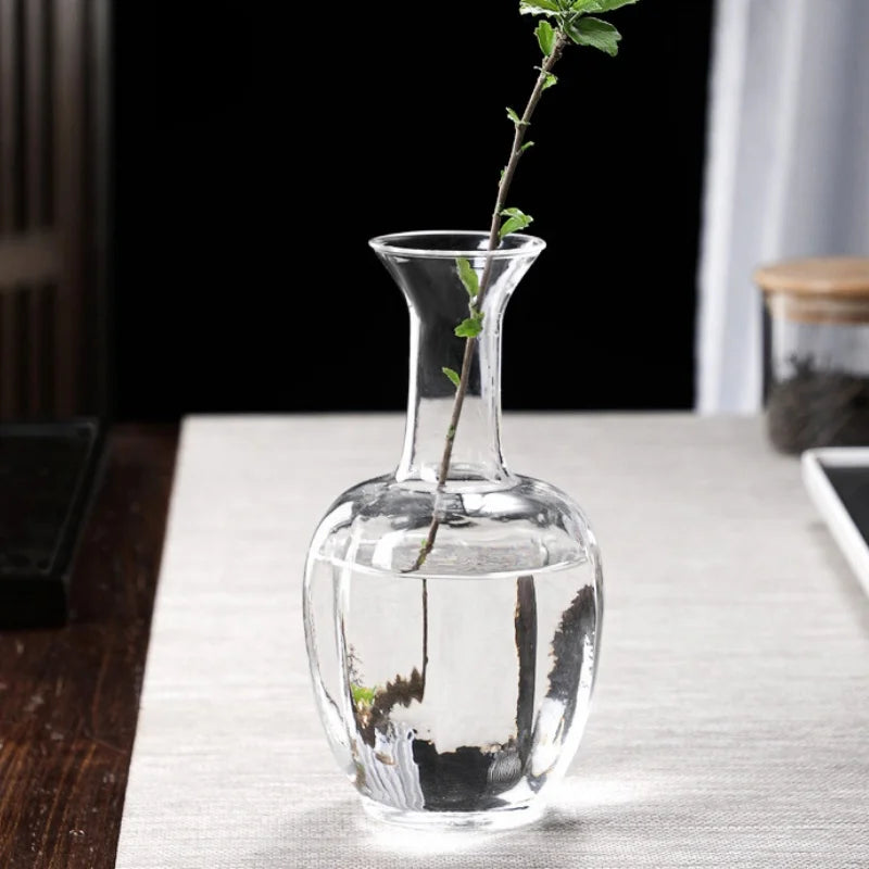 Clear Glass Vase for Flowers, Hydroponic Plants & Home Decor