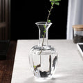 Clear Glass Vase for Flowers, Hydroponic Plants & Home Decor