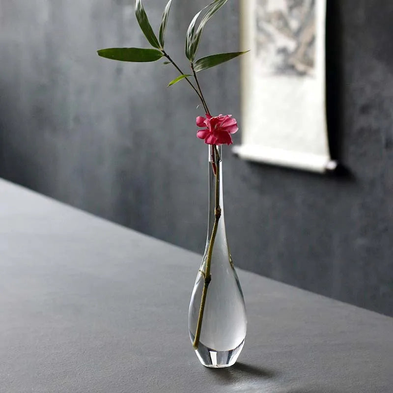 Clear Glass Vase for Flowers, Hydroponic Plants & Home Decor